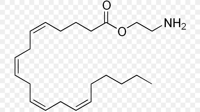 Phenylalanine Tryptophan Methyl Group Amino Acid, PNG, 709x458px, Phenylalanine, Acid, Amino Acid, Area, Benzoic Acid Download Free