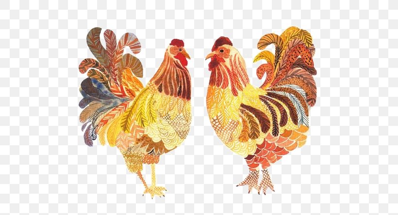 Polish Chicken Rooster Egg Poultry Farming Illustration, PNG, 564x444px, Chicken, Beak, Bird, Broiler, Chicken Coop Download Free