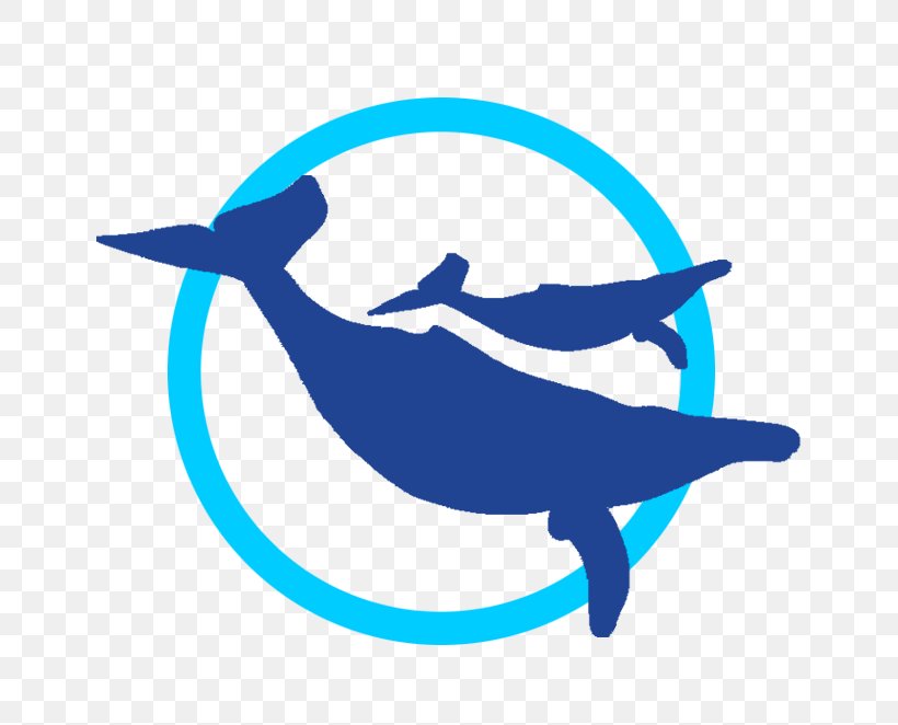 Whale Watch Cabo Dolphin Whale Watching Web Browser Clip Art, PNG, 662x662px, Dolphin, Cabo San Lucas, Cetacea, Com, Fish Download Free