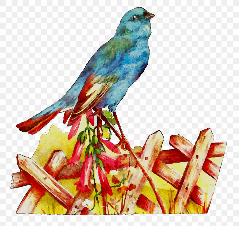 Bird Macaw Parakeet Loriini Feather, PNG, 1960x1851px, Bird, Beak, Bluebird, Budgie, Fauna Download Free