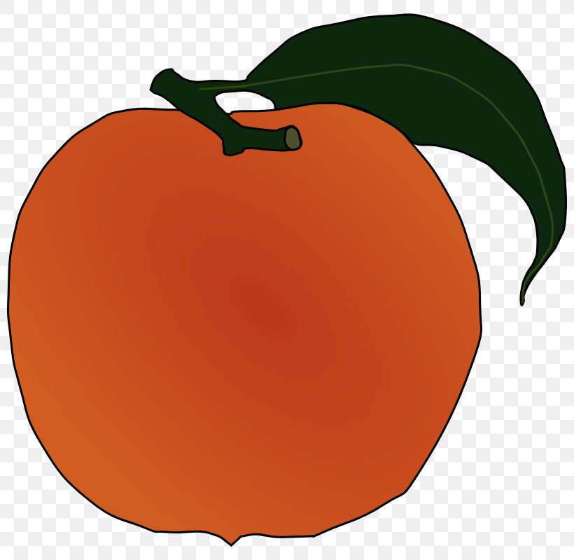 Clip Art Peach Image Vector Graphics Openclipart, PNG, 800x800px, Peach, Apple, Apricot, Computer, Flowering Plant Download Free
