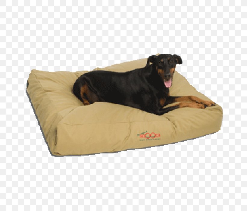 Dog Bed Futon Cushion Snooza Pet Products, PNG, 700x700px, Dog, Bed, Bedding, Comfort, Cushion Download Free