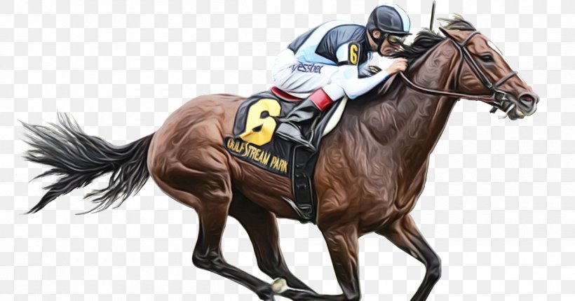 Horse Jockey Bridle Rein Animal Sports, PNG, 1200x630px, Watercolor, Animal Sports, Bridle, Horse, Horse Racing Download Free