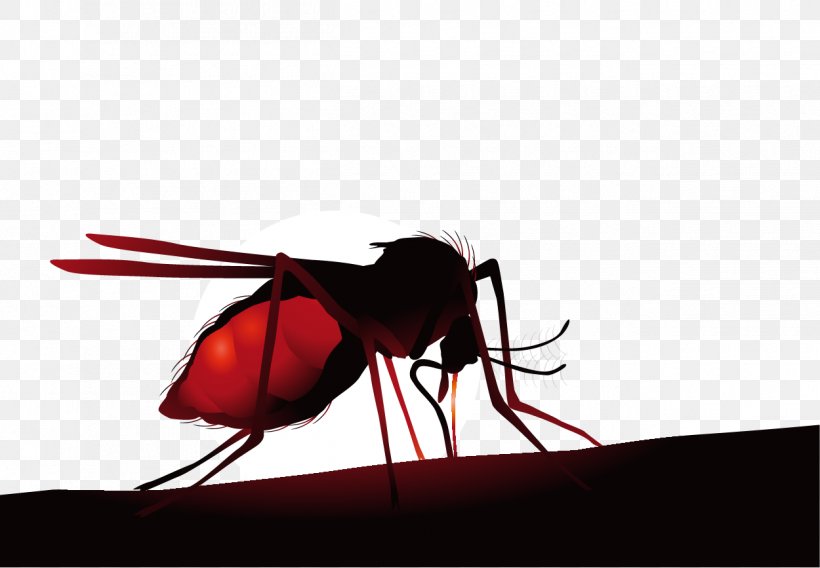 Mosquito Net Insect Zika Virus Hematophagy, PNG, 1250x867px, Mosquito, Aedes Albopictus, Arthropod, Disease, Fly Download Free