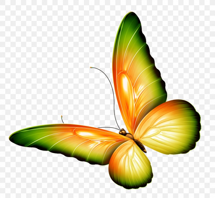 Butterfly Clip Art, PNG, 1232x1140px, Butterfly, Arthropod, Book, Butterflies And Moths, Chinyere Nwakanma Download Free