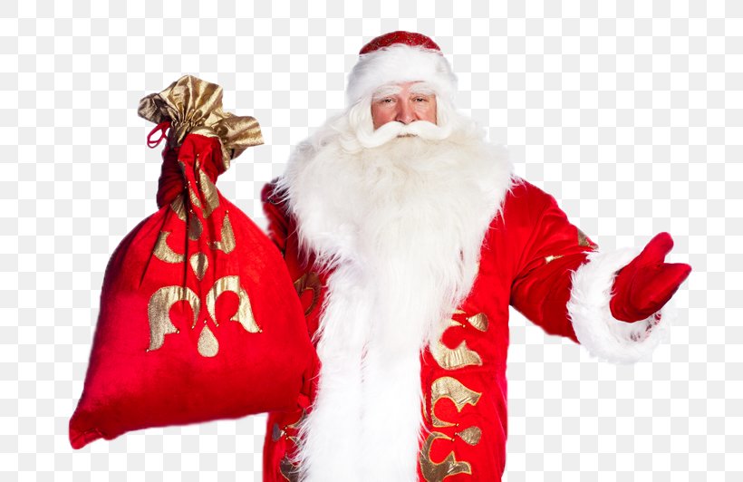 Ded Moroz Snegurochka New Year Grandfather Ziuzia, PNG, 800x532px, 2019, Ded Moroz, Child, Christmas, Christmas Decoration Download Free