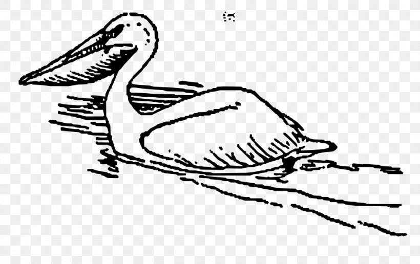 Pelican Bird Clip Art, PNG, 1000x630px, Pelican, Arm, Art, Artwork, Beak Download Free