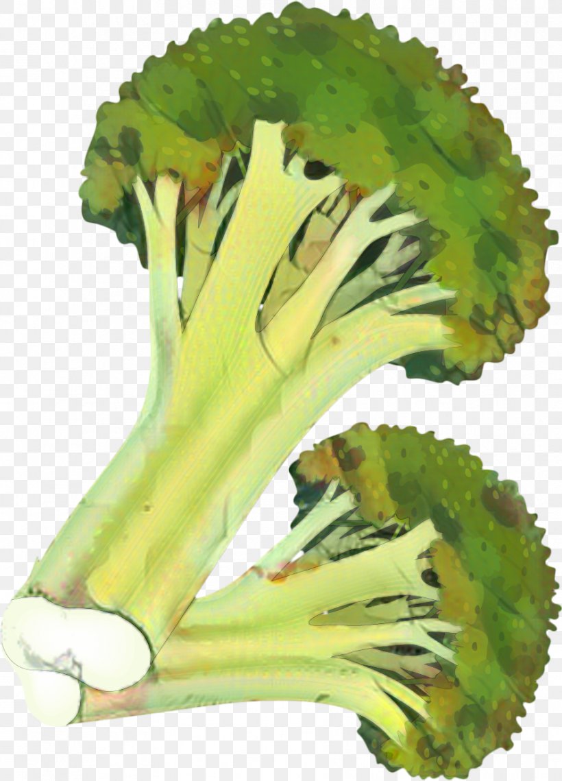 Vegetables Cartoon, PNG, 888x1234px, Greens, Broccoli, Cabbage, Flower, Food Download Free