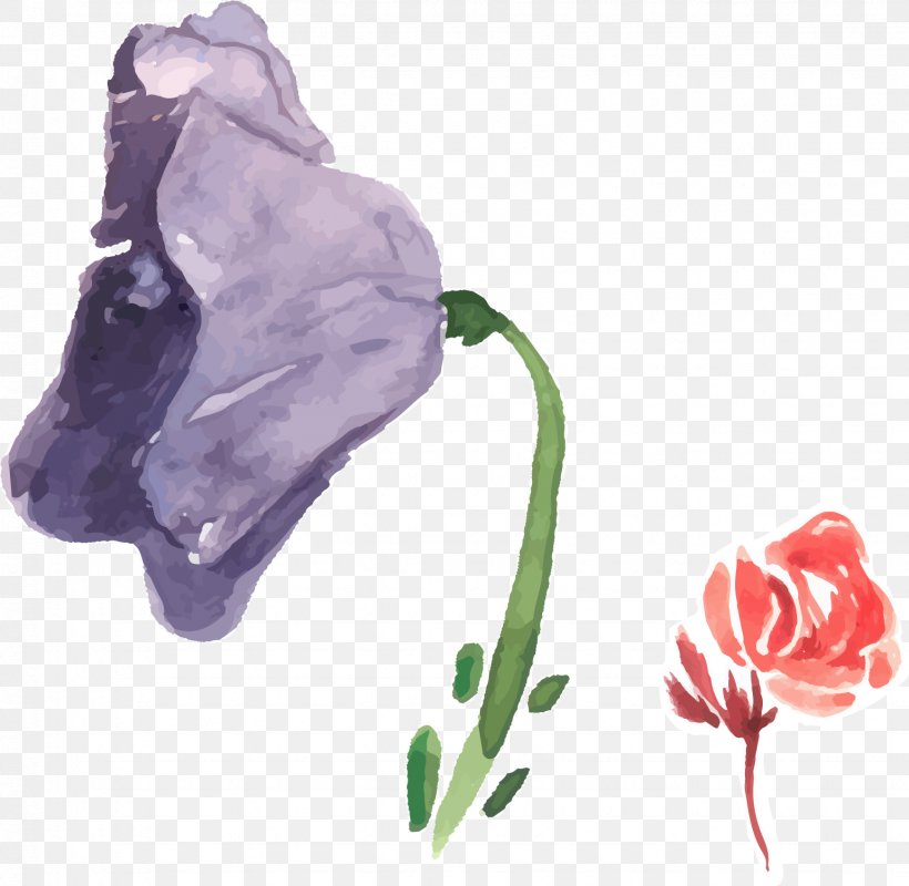 Garden Roses Flower Watercolor Painting Purple, PNG, 1541x1504px, Garden Roses, Cut Flowers, Flower, Flowering Plant, Petal Download Free