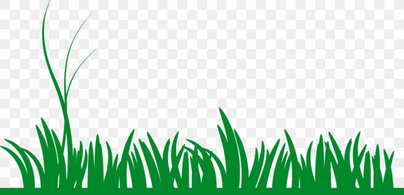 Lawn Clip Art, PNG, 900x435px, Lawn, Commodity, Garden, Grasgroen, Grass Download Free