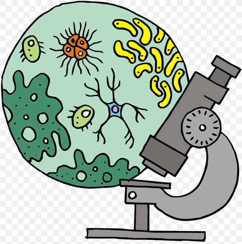 Clip Art Mac Toys Microscope Set Microscope Biology Clipart Vector Graphics, PNG, 873x881px, Microscope, Bacteria, Biology Clipart, Cartoon, Drawing Download Free