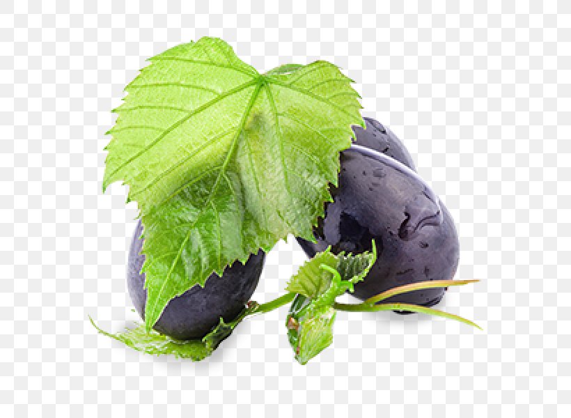 Common Grape Vine Wine Grape Leaves Leaf, PNG, 600x600px, Common Grape Vine, Fruit, Grape, Grape Leaves, Herb Download Free