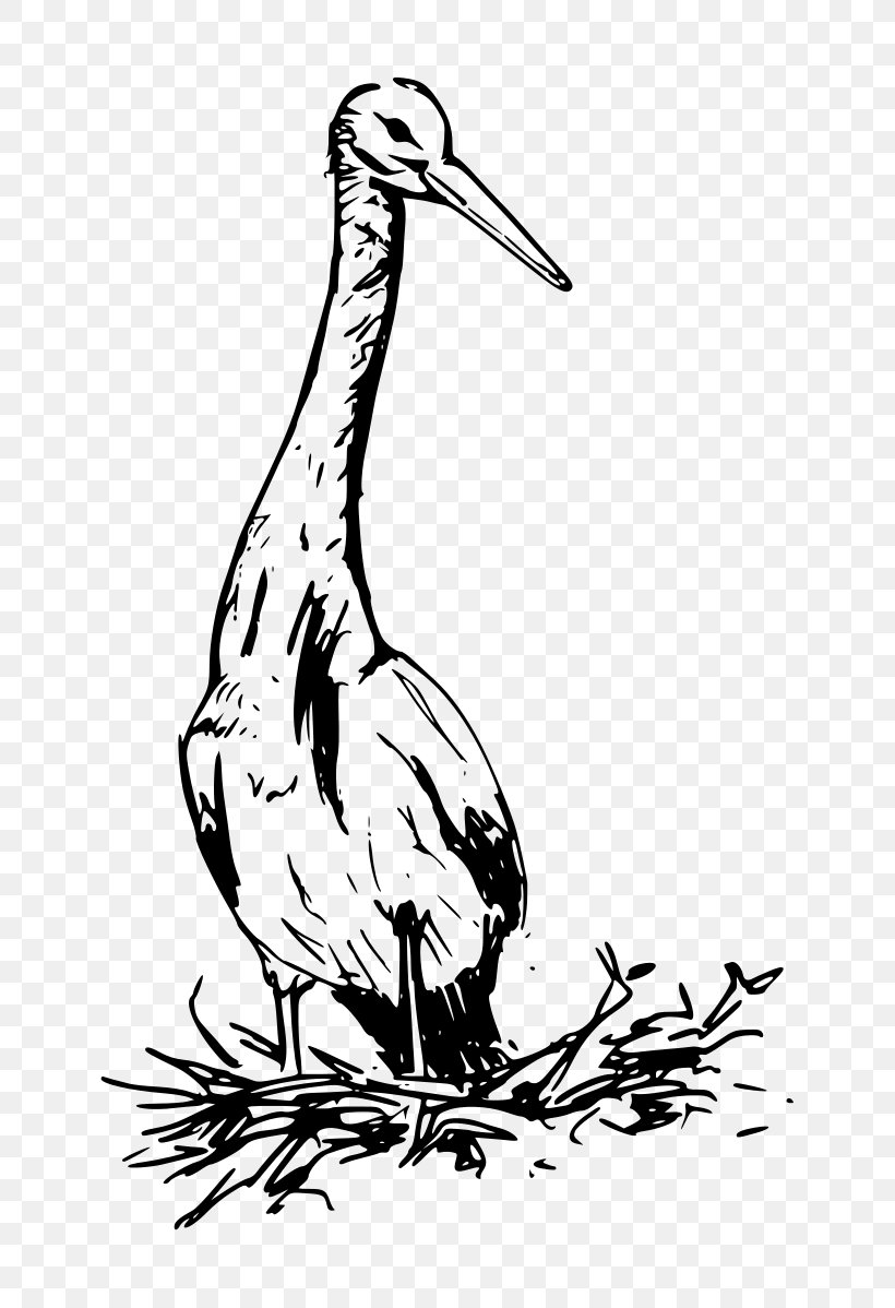 Crane Bird, PNG, 720x1198px, Bird, Animal, Beak, Bird Nest, Ciconiiformes Download Free