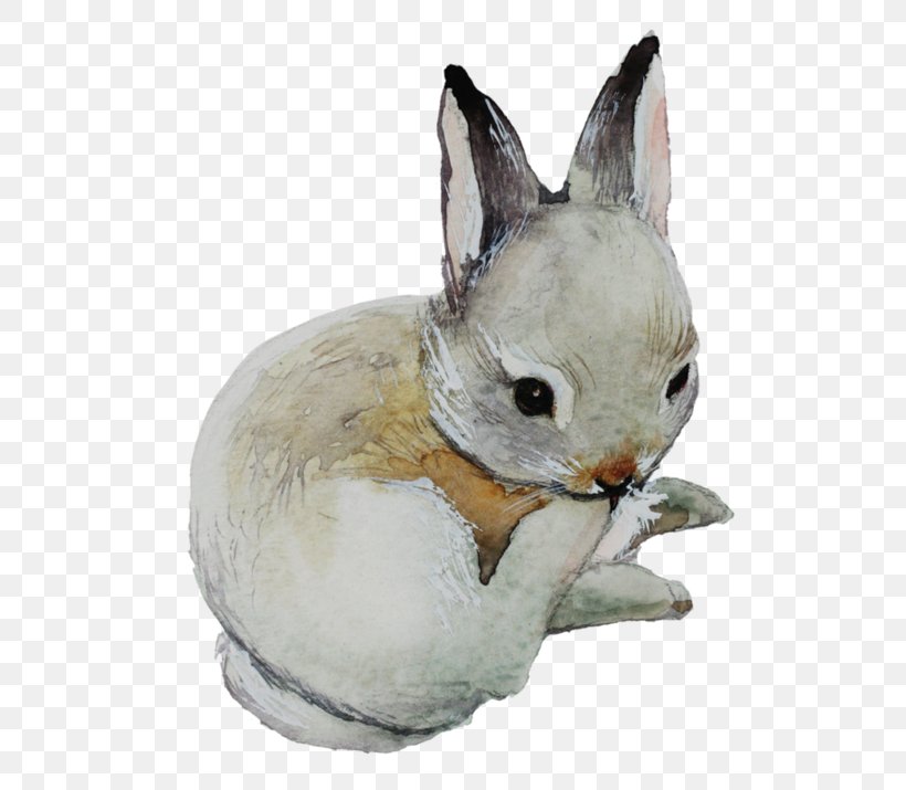 Domestic Rabbit Watercolor Painting User Interface Design Easter Bunny, PNG, 600x715px, Domestic Rabbit, Computer Software, Creative Market, Designer, Easter Bunny Download Free