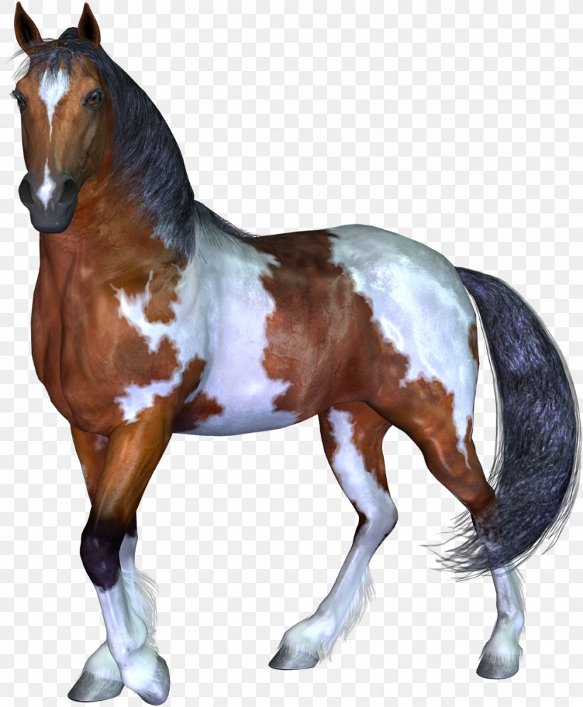 Mustang Stallion Pony Rein Wild Horse, PNG, 989x1200px, Mustang, Animal, Animal Figure, Halter, Horse Download Free