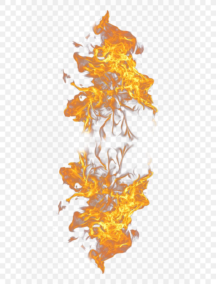 Light Flame Fire Combustion, PNG, 650x1079px, Flame, Combustion, Fire, Illustration, Leaf Download Free