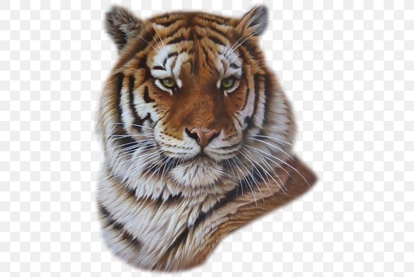 Painting Lion White Tiger Artist, PNG, 458x550px, Painting, Animated Film, Art, Artist, Bengal Tiger Download Free