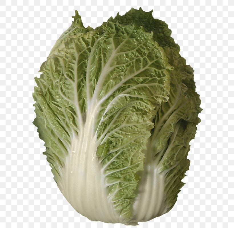Romaine Lettuce Savoy Cabbage Collard Greens Vegetable, PNG, 605x800px, Romaine Lettuce, Brassica Oleracea, Cabbage, Cauliflower, Chard Download Free