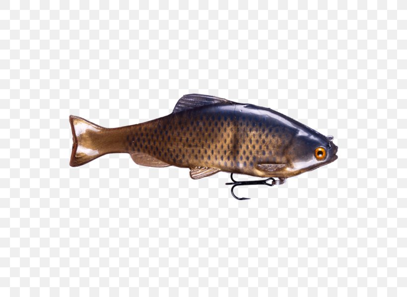 Spoon Lure Common Rudd Herring Carp Fish, PNG, 600x600px, Spoon Lure, Ac Power Plugs And Sockets, Bait, Bony Fish, Carp Download Free