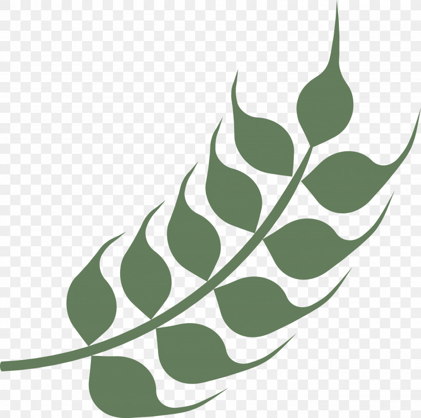 Wheat Ears, PNG, 3000x2984px, Wheat Ears, Biology, Green, Leaf, Line Download Free