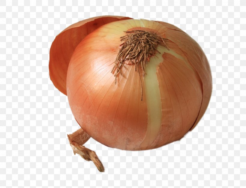 Yellow Onion Shallot Food Eating Nutrition, PNG, 1047x800px, Yellow Onion, Blood Vessel, Calabaza, Cooking, Cucurbita Download Free