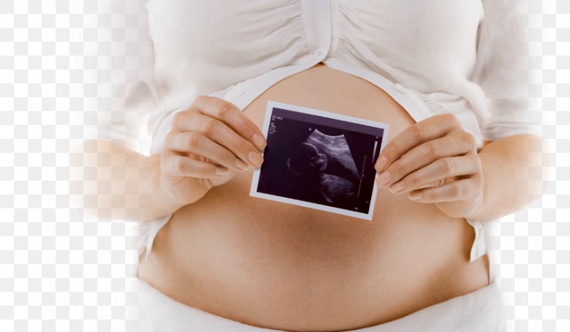 Abdomen Pregnancy Fetus Mother Woman, PNG, 883x515px, Watercolor, Cartoon, Flower, Frame, Heart Download Free