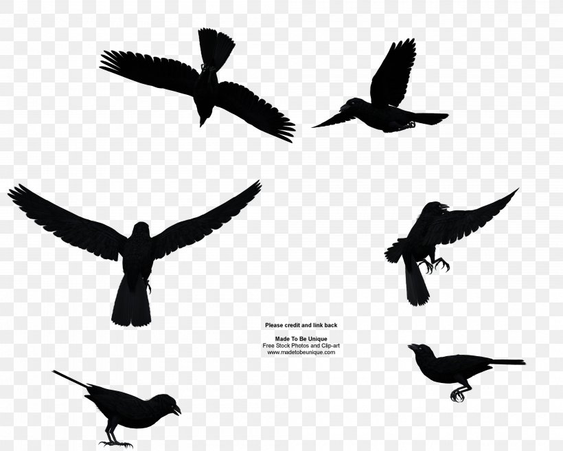 Bird Flight Goose Clip Art, PNG, 4000x3200px, Bird, Animal Migration, Beak, Bird Flight, Bird Migration Download Free