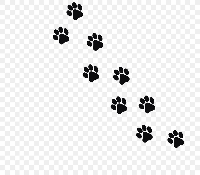 Cat Footprint Animal Track Clip Art, PNG, 720x720px, Cat, Animal, Animal Track, Black, Black And White Download Free
