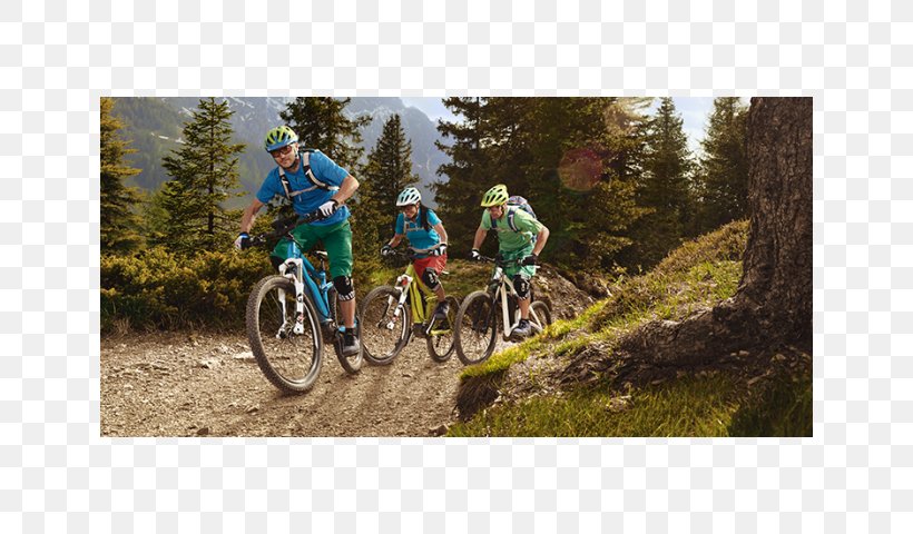 Downhill Mountain Biking Mountain Bike Cyclo-cross Electric Bicycle Hybrid Bicycle, PNG, 640x480px, Downhill Mountain Biking, Adventure, Bicycle, Bicycle Accessory, Bicycle Motocross Download Free