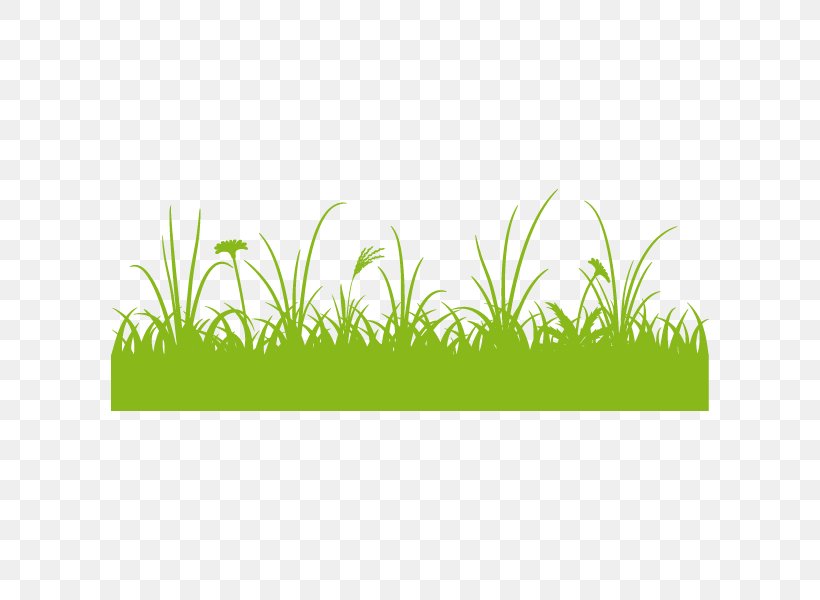 Illustration Graphics Clip Art Grass Illustrator, PNG, 600x600px, 2018, Grass, Aquarium Decor, Grass Family, Green Download Free