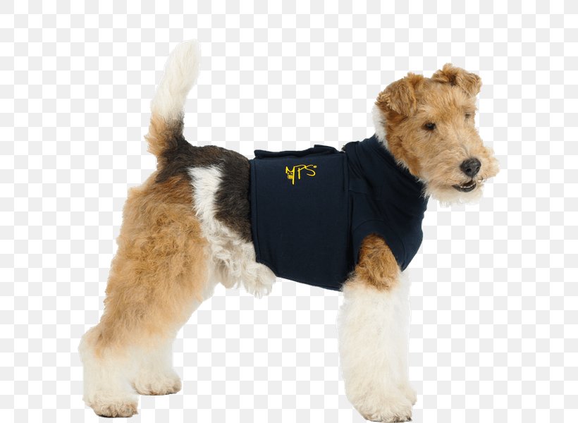 T-shirt Dog Cat Veterinarian, PNG, 600x600px, Tshirt, Carnivoran, Cat, Clothing, Collar Download Free