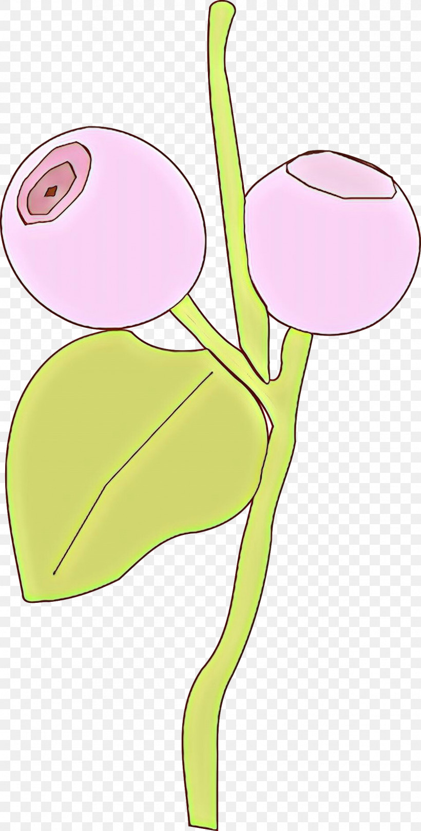 Cartoon Flower Pink Plant Plant Stem, PNG, 1217x2400px, Cartoon, Flower, Pedicel, Pink, Plant Download Free