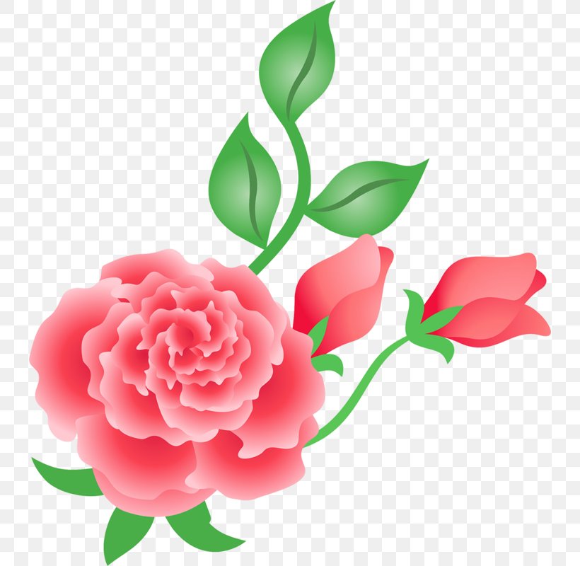 Garden Roses Flower Petal Design, PNG, 738x800px, Garden Roses, Artificial Flower, Botany, Cabbage Rose, Camellia Download Free