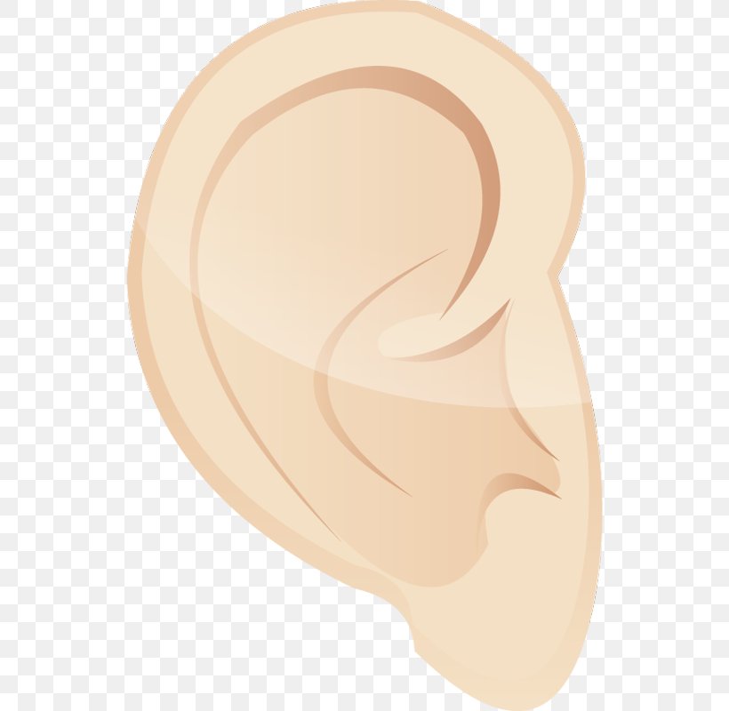 Ear Cheek Jaw Nose, PNG, 536x800px, Watercolor, Cartoon, Flower, Frame, Heart Download Free