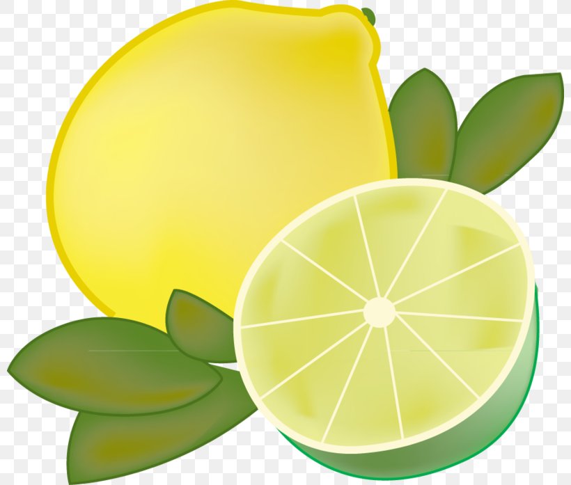 Lemon-lime Drink Limeade Sour, PNG, 800x697px, Lemon, Citric Acid, Citrus, Cutie Mark Crusaders, Flowering Plant Download Free