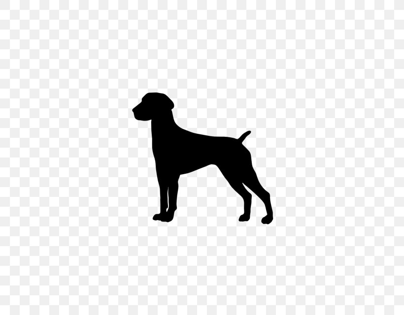 Labrador Retriever German Shorthaired Pointer Boxer Weimaraner, PNG, 640x640px, Labrador Retriever, Black, Boxer, Carnivoran, Coat Download Free