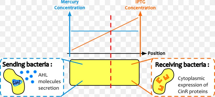 Line Angle Point Diagram, PNG, 1353x613px, Point, Area, Diagram, Parallel, Plot Download Free