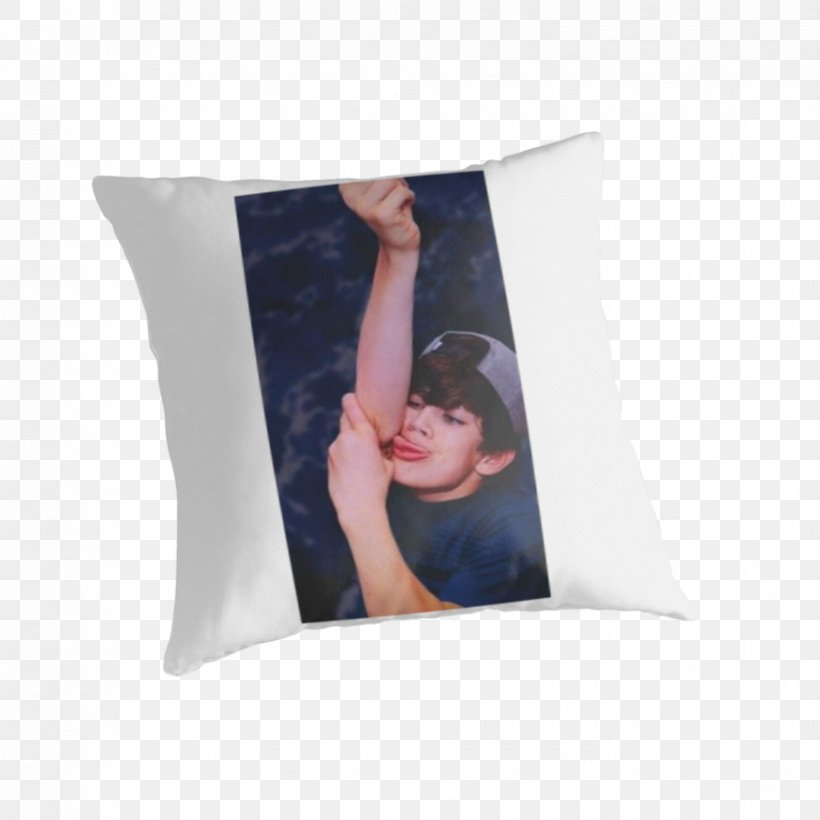 Throw Pillows Cushion, PNG, 875x875px, Throw Pillows, Cushion, Linens, Pillow, Throw Pillow Download Free