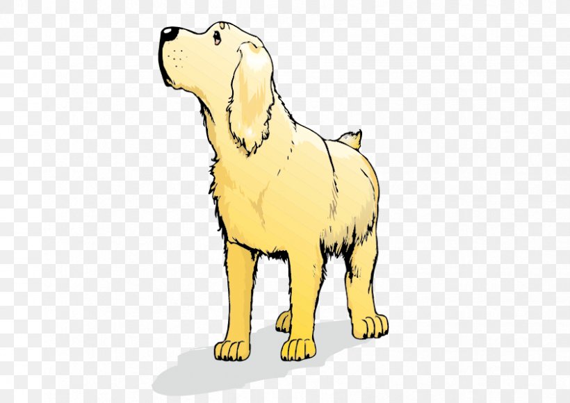 Golden Retriever Labrador Retriever Goldendoodle Labradoodle Italian Greyhound, PNG, 842x596px, Golden Retriever, Carnivoran, Cartoon, Dog, Dog Breed Download Free