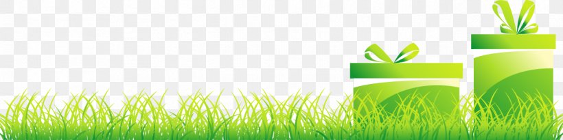 Grasses Wallpaper, PNG, 1318x330px, Grasses, Computer, Energy, Family, Grass Download Free