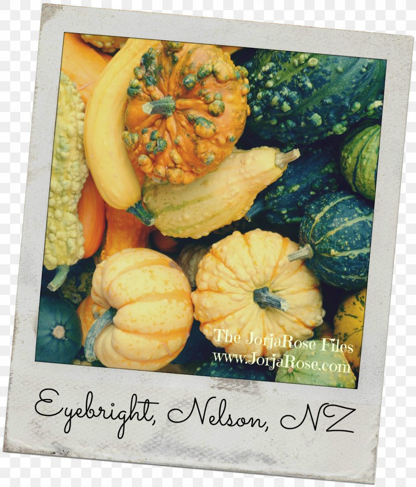 Pumpkin 3 Little Letters Winter Squash Gourd Food, PNG, 1369x1600px, Pumpkin, Birthday, Calabaza, Cucurbita, Enchanted Cottage Download Free