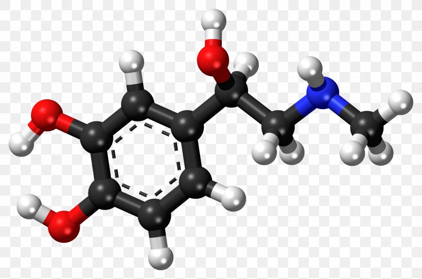 Ball-and-stick Model Adrenaline Norepinephrine Molecule, PNG, 1853x1227px, Ballandstick Model, Adrenal Medulla, Adrenaline, Adrenergic Receptor, Atom Download Free