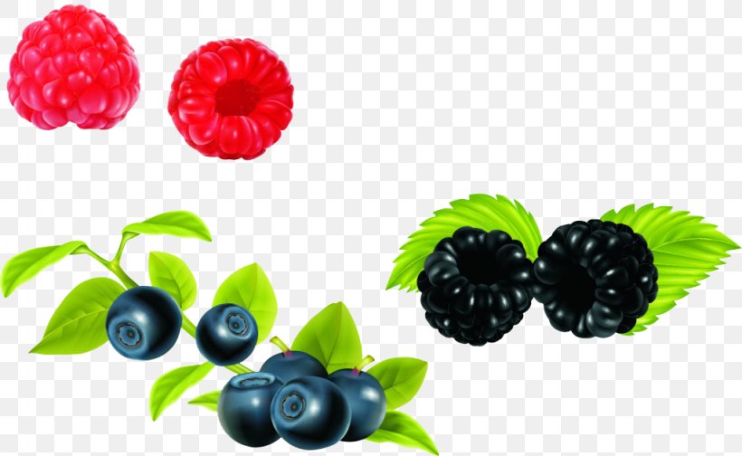 European Blueberry Bilberry, PNG, 1024x630px, Blueberry, Auglis, Berry, Bilberry, Blackberry Download Free