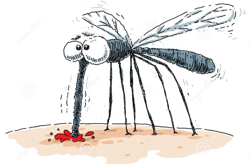 Mosquito Cartoon Royalty-free Animal Bite Clip Art, PNG, 1294x851px, Mosquito, Animal Bite, Art, Arthropod, Artwork Download Free