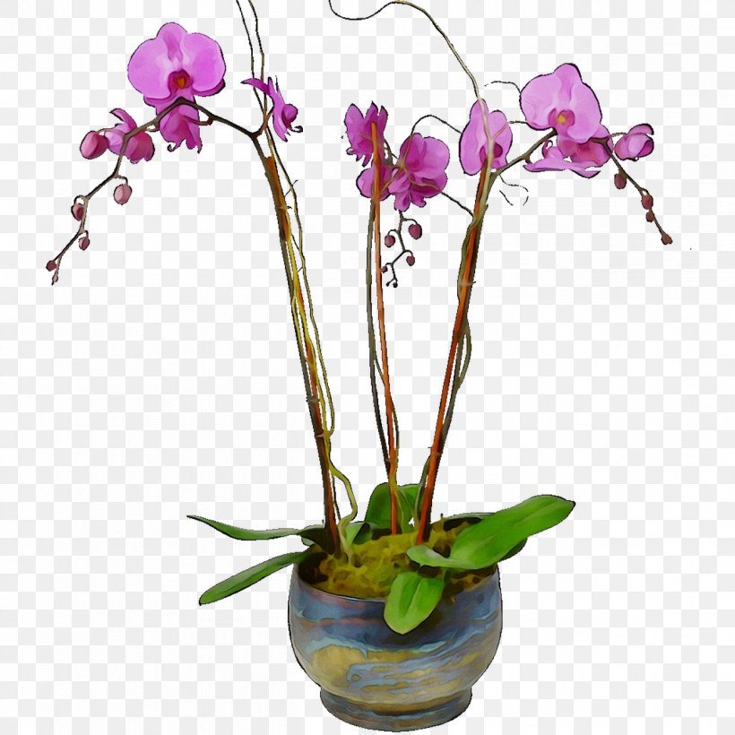 Moth Orchids Cut Flowers Floral Design Artificial Flower, PNG, 1259x1259px, Moth Orchids, Artificial Flower, Branching, Cattleya, Cattleya Orchids Download Free
