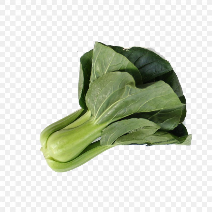 Romaine Lettuce Choy Sum Leaf Vegetable Spring Greens, PNG, 2953x2953px, Choy Sum, Bok Choy, Cabbage, Chard, Chinese Cabbage Download Free