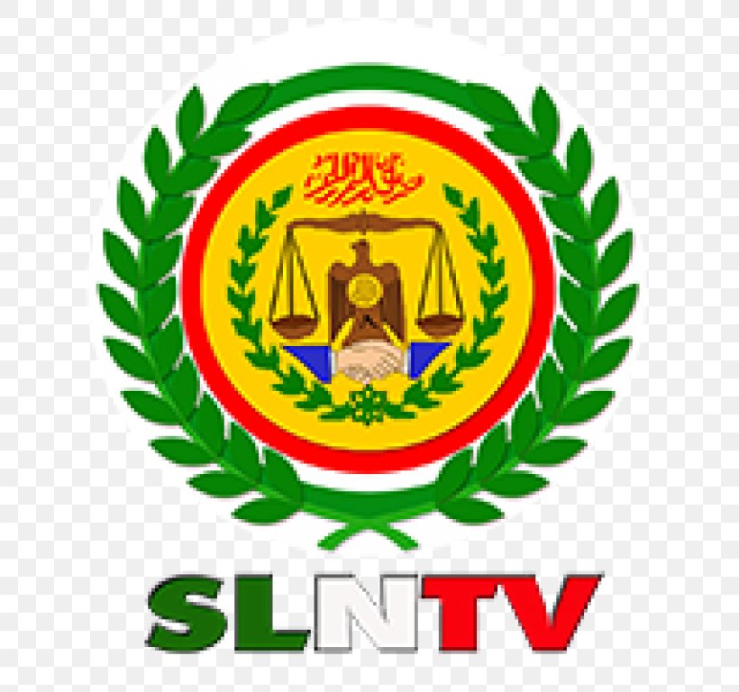 Somaliland National TV Somali National Television Television Channel Somaliland National Television, PNG, 768x768px, Somaliland National Tv, Area, Badge, Ball, Brand Download Free