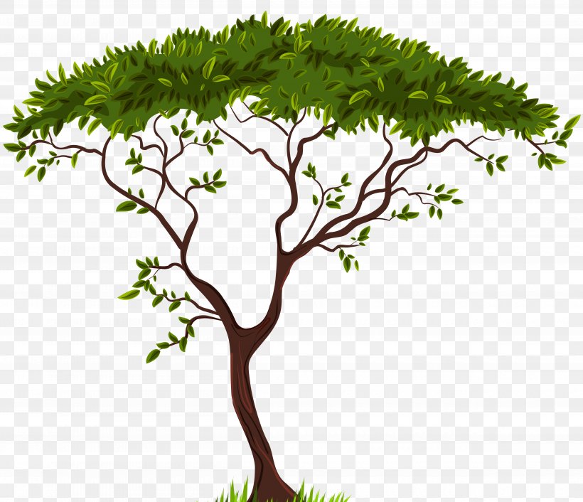Tree Branch Clip Art, PNG, 5000x4307px, Tree, Blog, Branch, Flower, Flowerpot Download Free