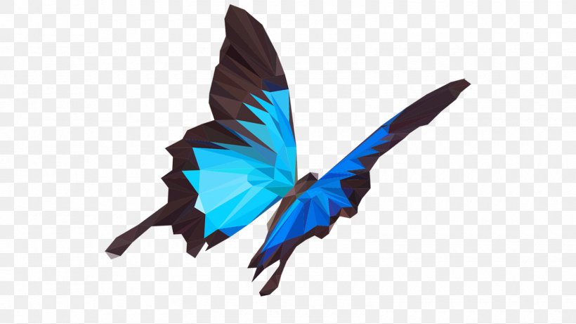 Ulysses Butterfly Insect Image Illustration, PNG, 1600x900px, Butterfly, Black Swallowtail, Insect, Invertebrate, Moth Download Free