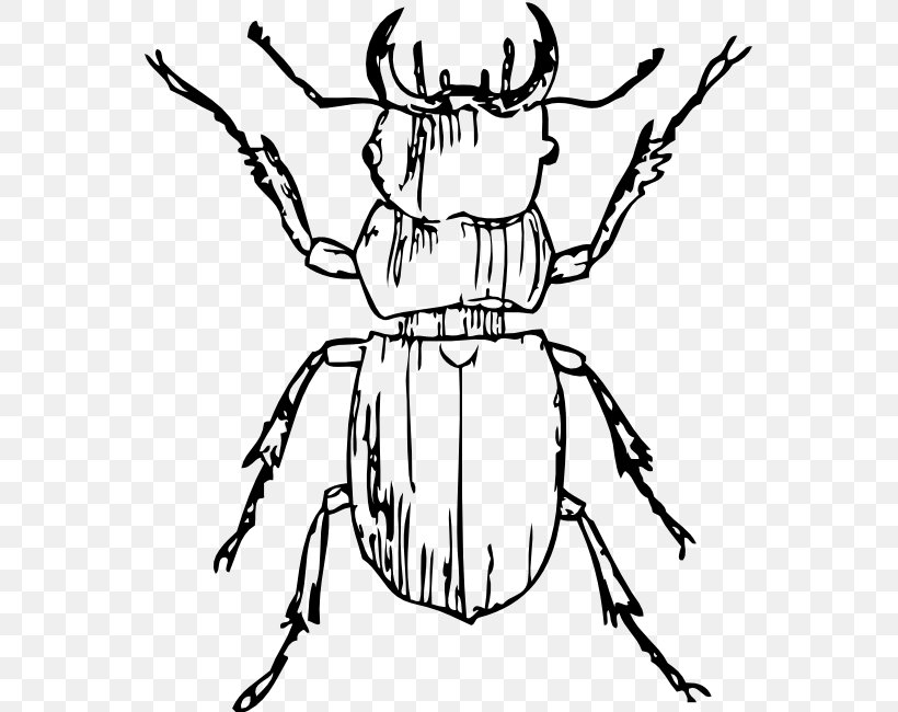 Beetle Black And White Clip Art, PNG, 555x650px, Beetle, Art, Artwork, Black, Black And White Download Free